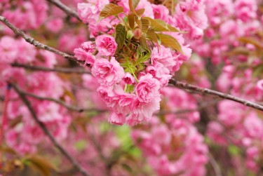 温州洞头区线下个人借款平台一站式服务，轻松解决资金难题