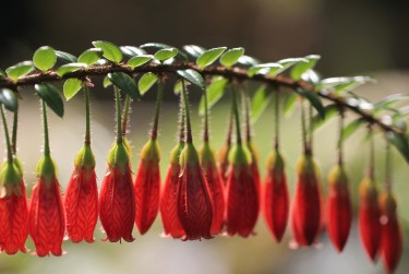 温州洞头区零用贷短借：轻松解决临时资金需求