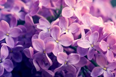 温州洞头区企业急用钱贷款攻略：快速融资解燃眉之急